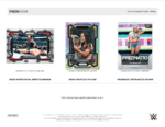 2024 Panini Prizm WWE Hobby 12 Box Case - Image 3